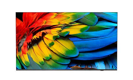 Téléviseur professionnel PHILIPS 65HFL6214U 65 pouces 2160p DVB C