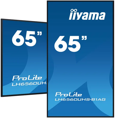 Iiyama