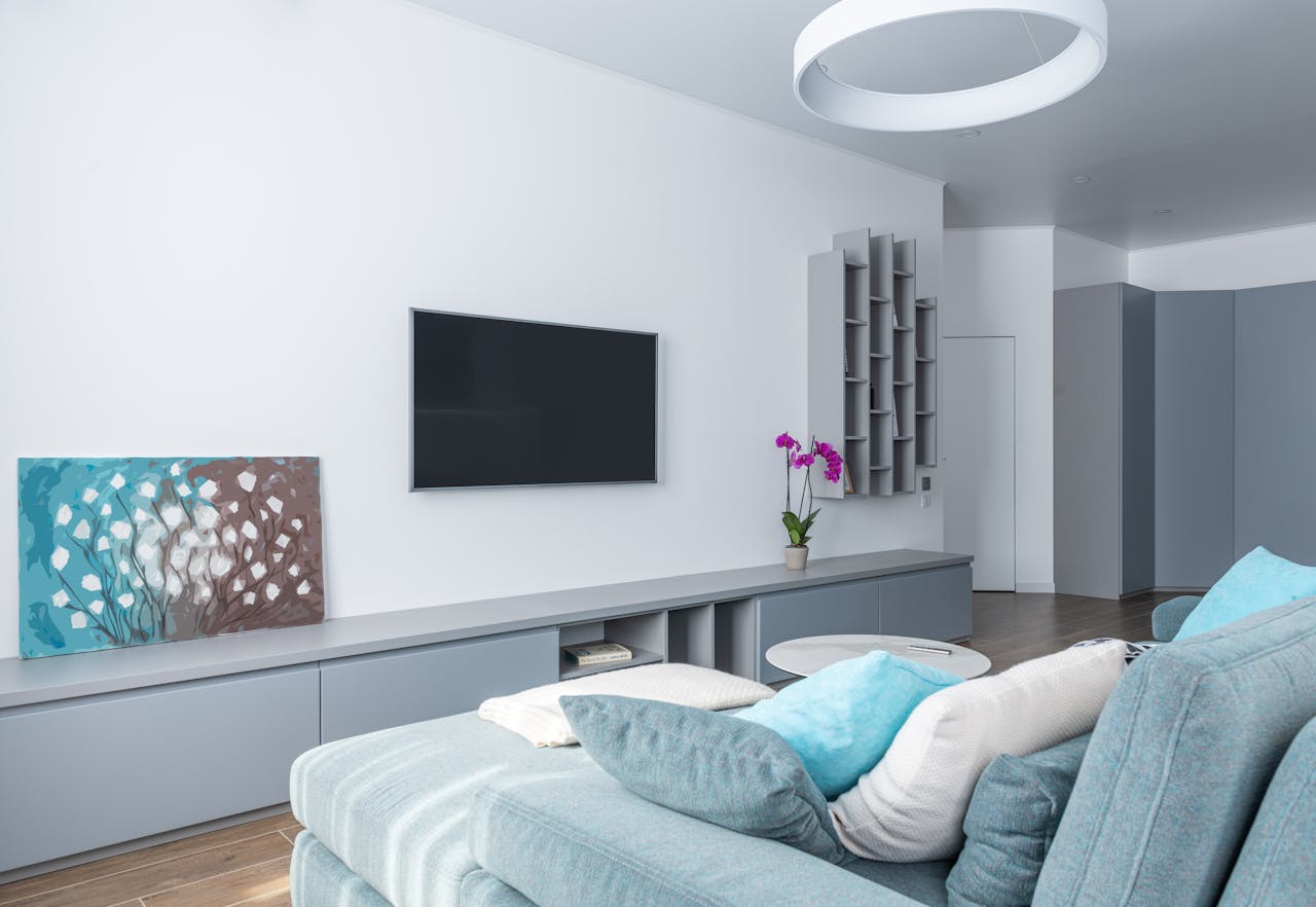 TV murale avec certifications de qualité image
