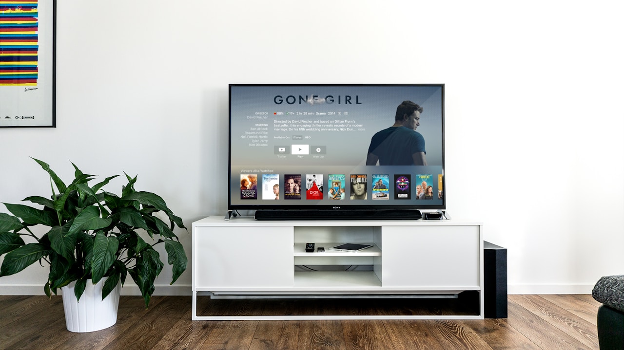Television dans un interieur epure